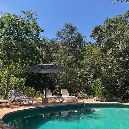 Holiday home Font March Pollenca