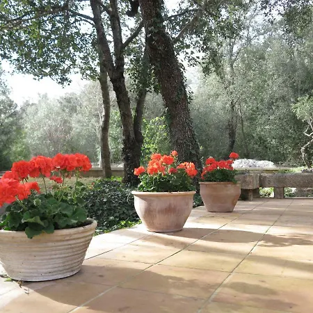 Font March Holiday home *